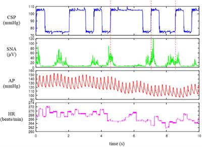 Closed-Loop Identification of Baroreflex Properties in the Frequency Domain